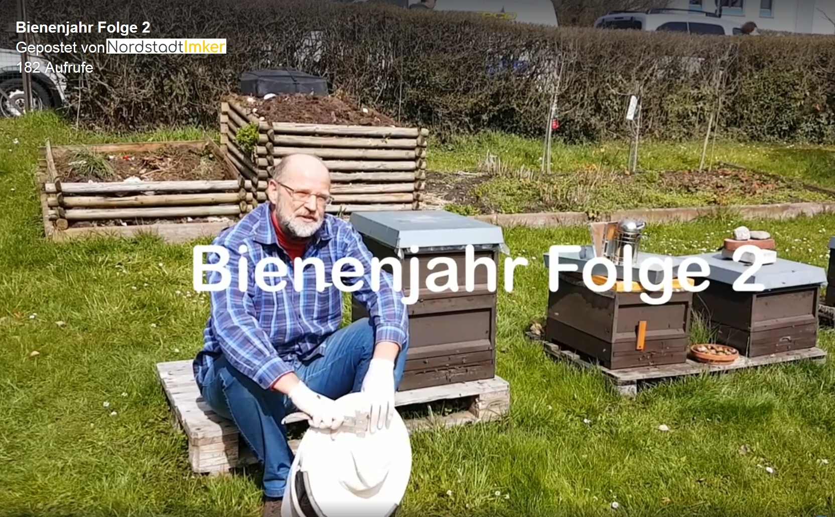 NordstadtImker: Pollensammlerinnen und 1. Drohnenbrut